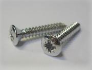 Self Tapping Screws and Cups Chrome Self Tappers and Cups
